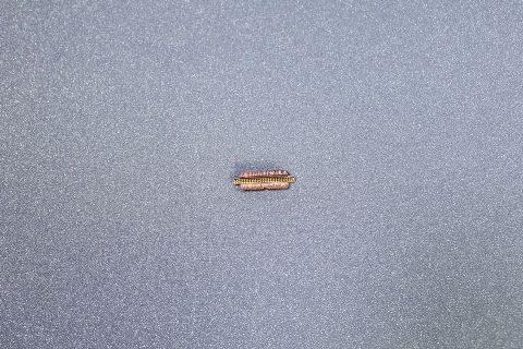 聽(tīng)筒網(wǎng)-14